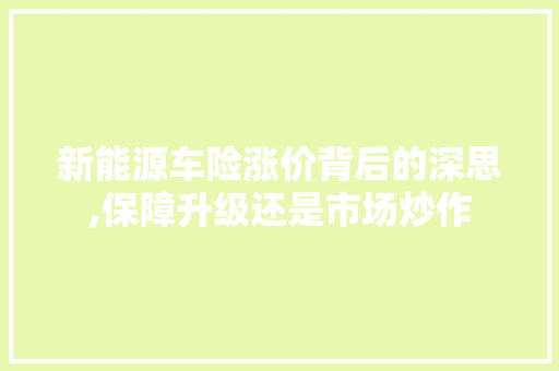 新能源车险涨价背后的深思,保障升级还是市场炒作