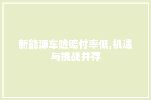 新能源车险赔付率低,机遇与挑战并存