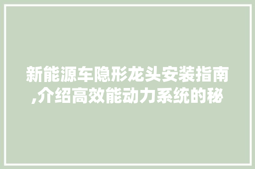 新能源车隐形龙头安装指南,介绍高效能动力系统的秘密