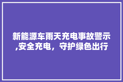 新能源车雨天充电事故警示,安全充电，守护绿色出行