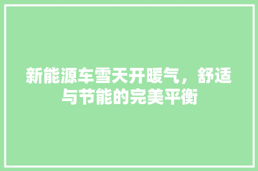 新能源车雪天开暖气，舒适与节能的完美平衡