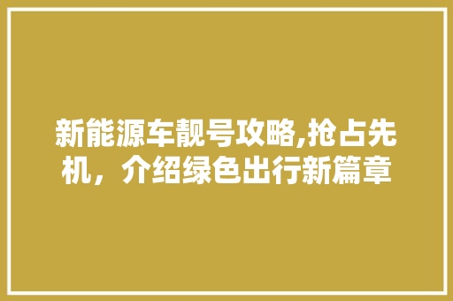 新能源车靓号攻略,抢占先机，介绍绿色出行新篇章