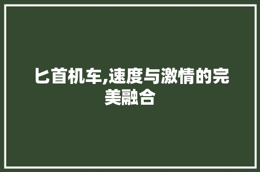 匕首机车,速度与激情的完美融合