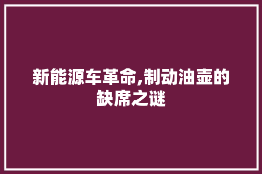 新能源车革命,制动油壶的缺席之谜 新能源汽车