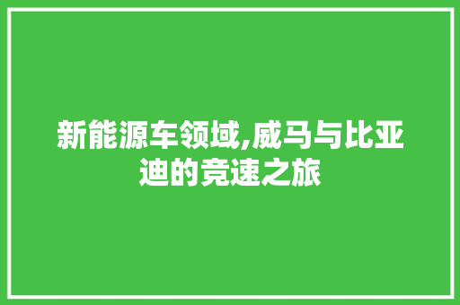 新能源车领域,威马与比亚迪的竞速之旅