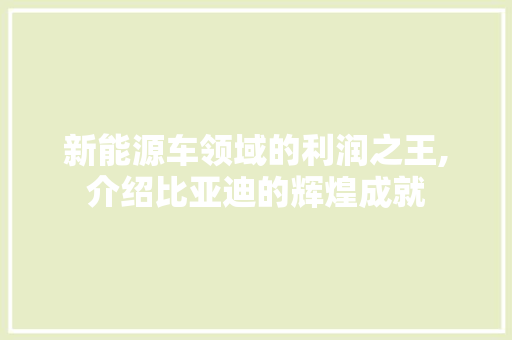新能源车领域的利润之王,介绍比亚迪的辉煌成就