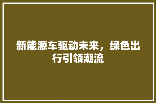 新能源车驱动未来，绿色出行引领潮流
