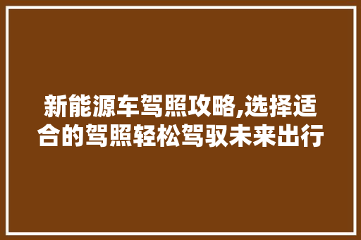 新能源车驾照攻略,选择适合的驾照轻松驾驭未来出行