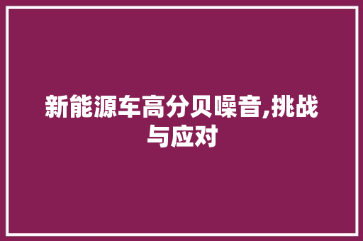 新能源车高分贝噪音,挑战与应对