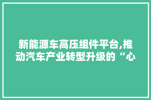 新能源车高压组件平台,推动汽车产业转型升级的“心脏”