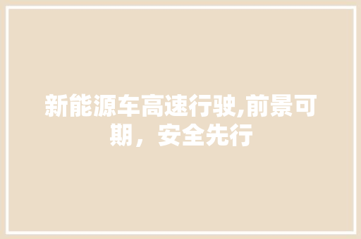 新能源车高速行驶,前景可期，安全先行