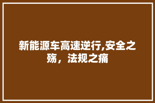 新能源车高速逆行,安全之殇，法规之痛 变速箱配件