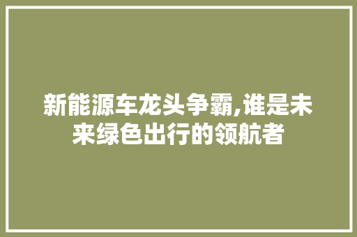 新能源车龙头争霸,谁是未来绿色出行的领航者