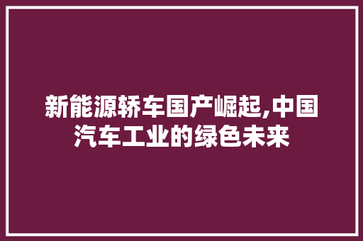 新能源轿车国产崛起,中国汽车工业的绿色未来