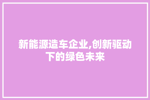 新能源造车企业,创新驱动下的绿色未来