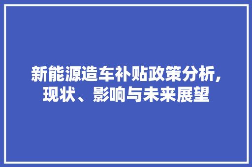 新能源造车补贴政策分析,现状、影响与未来展望