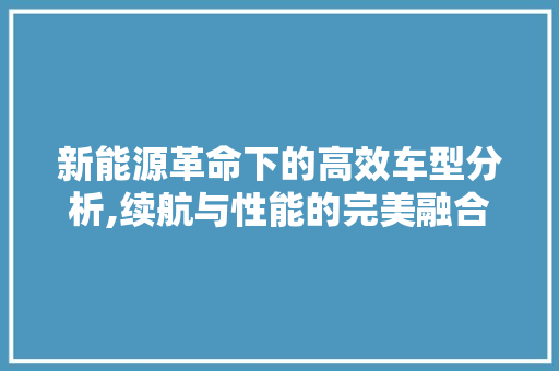 新能源革命下的高效车型分析,续航与性能的完美融合