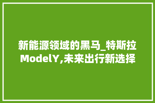 新能源领域的黑马_特斯拉ModelY,未来出行新选择