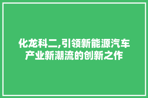 化龙科二,引领新能源汽车产业新潮流的创新之作