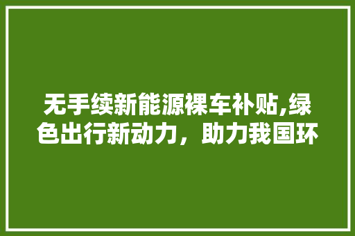 无手续新能源裸车补贴,绿色出行新动力，助力我国环保事业