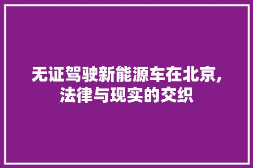 无证驾驶新能源车在北京,法律与现实的交织 蓄电池配件