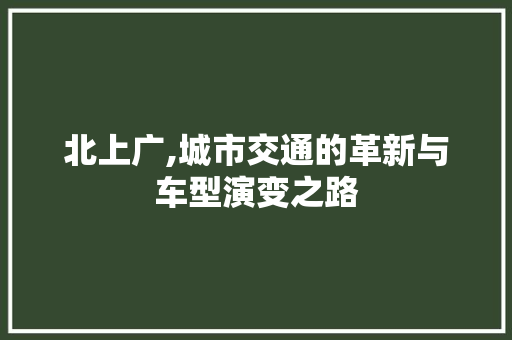 北上广,城市交通的革新与车型演变之路