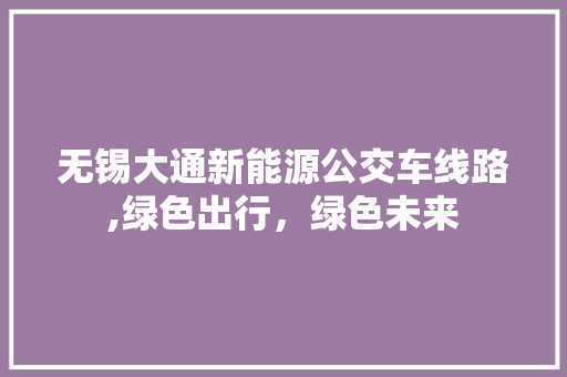 无锡大通新能源公交车线路,绿色出行，绿色未来