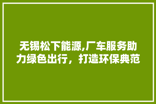 无锡松下能源,厂车服务助力绿色出行，打造环保典范