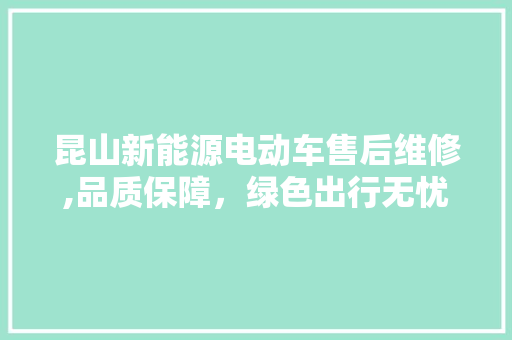 昆山新能源电动车售后维修,品质保障，绿色出行无忧