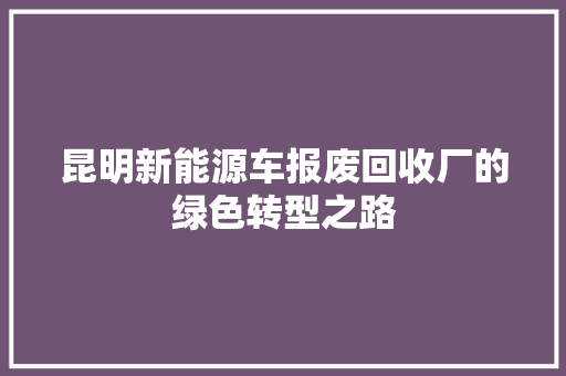 昆明新能源车报废回收厂的绿色转型之路