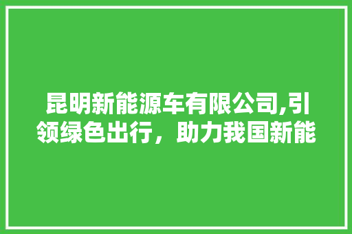 昆明新能源车有限公司,引领绿色出行，助力我国新能源汽车产业发展 新能源汽车