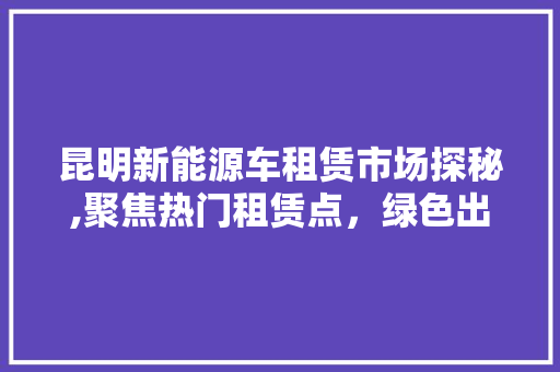 昆明新能源车租赁市场探秘,聚焦热门租赁点，绿色出行新选择