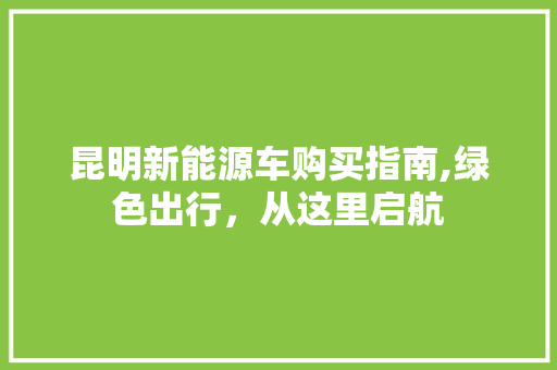 昆明新能源车购买指南,绿色出行，从这里启航