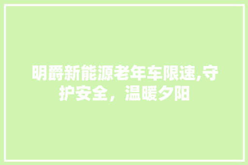 明爵新能源老年车限速,守护安全，温暖夕阳