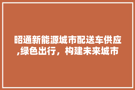 昭通新能源城市配送车供应,绿色出行，构建未来城市新生态