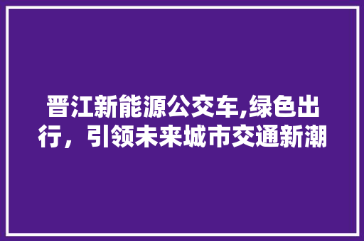 晋江新能源公交车,绿色出行，引领未来城市交通新潮流