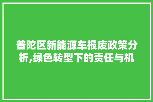 普陀区新能源车报废政策分析,绿色转型下的责任与机遇