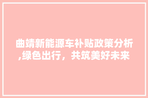 曲靖新能源车补贴政策分析,绿色出行，共筑美好未来
