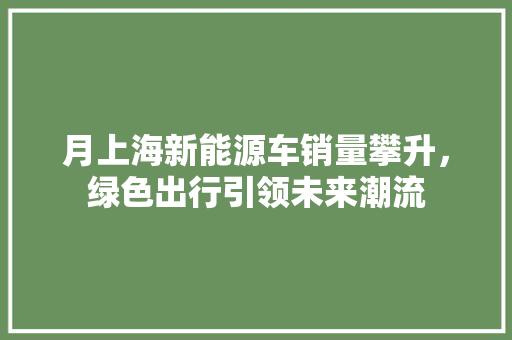 月上海新能源车销量攀升，绿色出行引领未来潮流