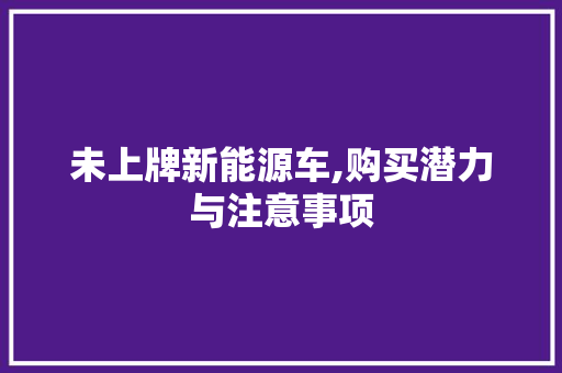 未上牌新能源车,购买潜力与注意事项