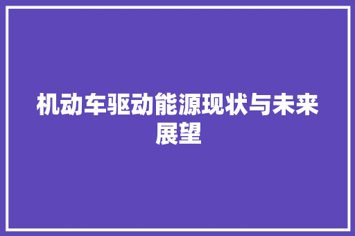 机动车驱动能源现状与未来展望
