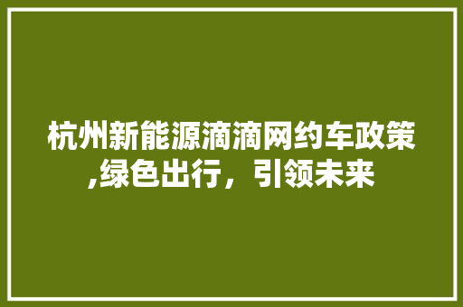 杭州新能源滴滴网约车政策,绿色出行，引领未来