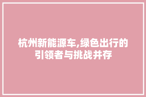 杭州新能源车,绿色出行的引领者与挑战并存