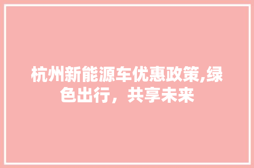 杭州新能源车优惠政策,绿色出行，共享未来
