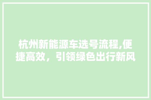 杭州新能源车选号流程,便捷高效，引领绿色出行新风尚