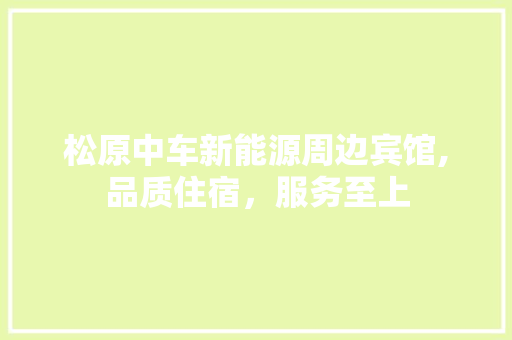 松原中车新能源周边宾馆,品质住宿，服务至上
