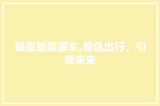 极氪新能源车,绿色出行，引领未来