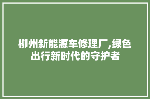柳州新能源车修理厂,绿色出行新时代的守护者
