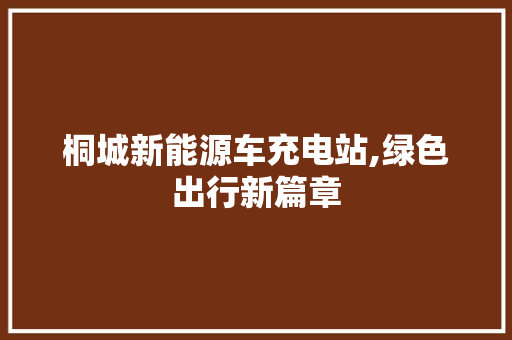 桐城新能源车充电站,绿色出行新篇章