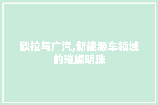 欧拉与广汽,新能源车领域的璀璨明珠